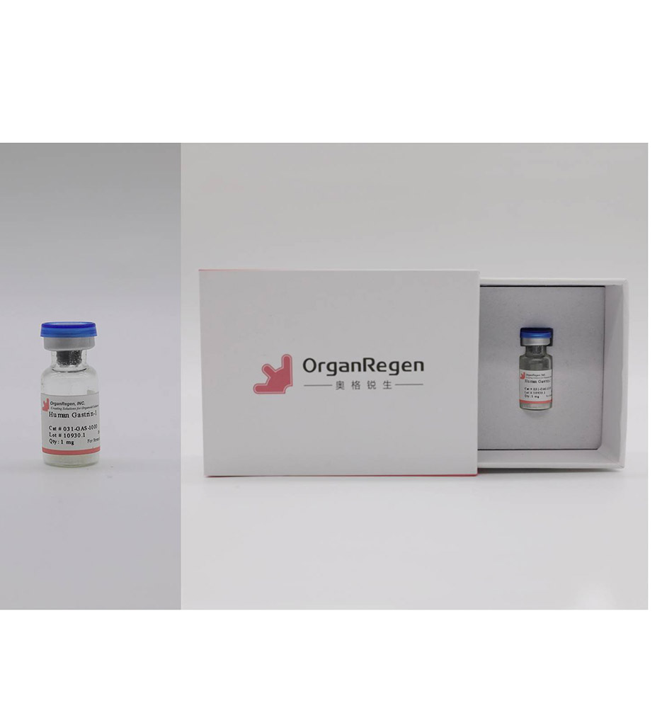 Recombinant Human Gastrin-1