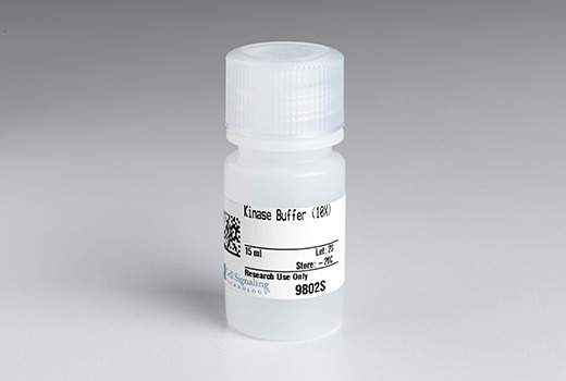 Kinase Buffer (10X)