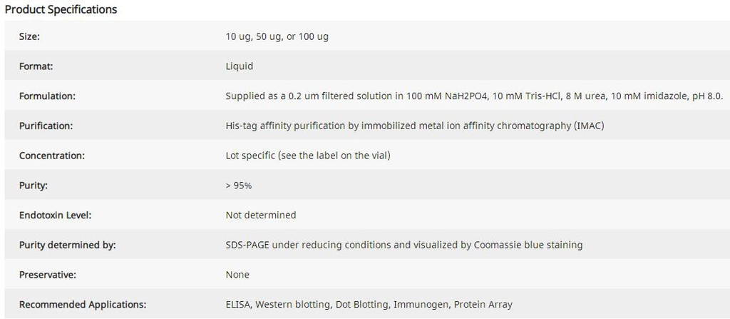 Recombinant Human CD63