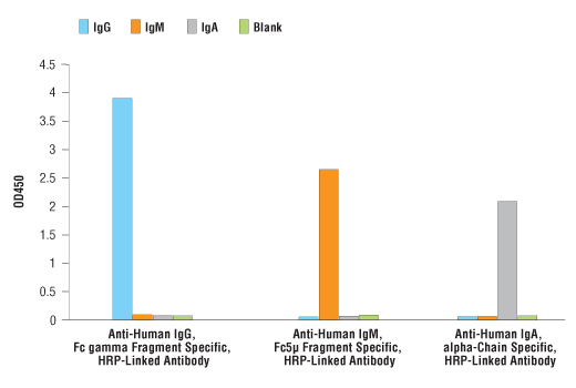 Anti-Human IgG Fc gamma Fragment Specific HRP-Linked Antibody