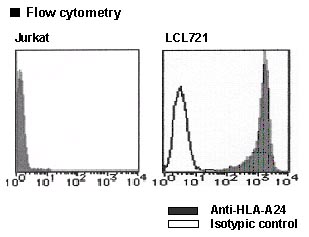 Anti-HLA-A24 (Human) mAb-PE