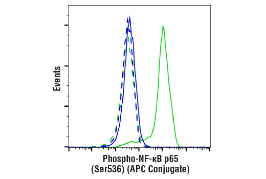 Phospho-NF-kappaB p65 (Ser536) (93H1) Rabbit Monoclonal Antibody (APC Conjugate)