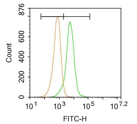 FITC标记血小板内皮细胞黏附分子1抗体
