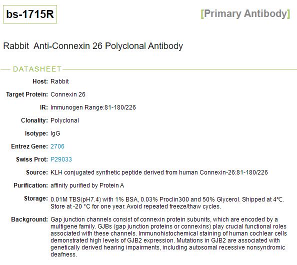 间隙连接蛋白26/GJB2抗体