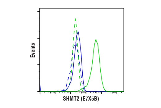 SHMT2 (E7X5B) Rabbit mAb