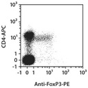 Anti-FoxP3-PE, mouse, REA788, 100 tests