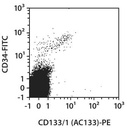CD133/1-PE, human, AC133, 100 tests