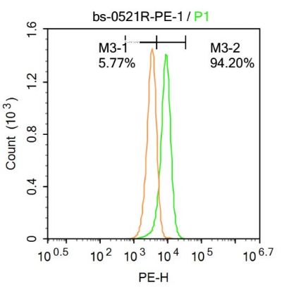 Rabbit Anti-CD44/PE Conjugated antibody