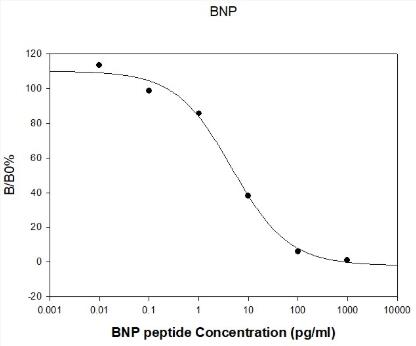 Rat BNP EIA