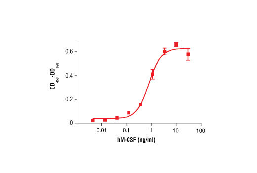 Human Macrophage Colony Stimulating Factor (hM-CSF)