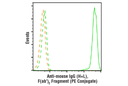Anti-mouse IgG (H+L) F(ab')<sub>2</sub> Fragment (PE Conjugate)