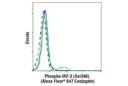 Phospho-IRF-3 (Ser396) (D6O1M) Rabbit mAb (Alexa Fluor 647 Conjugate)