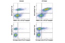 CD86/B7-2 (GL-1) Rat mAb (PE-Cy7 Conjugate)