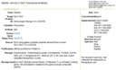 溶质载体家族10成员7抗体