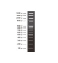 DNA分子量标准加强型 (100bp)